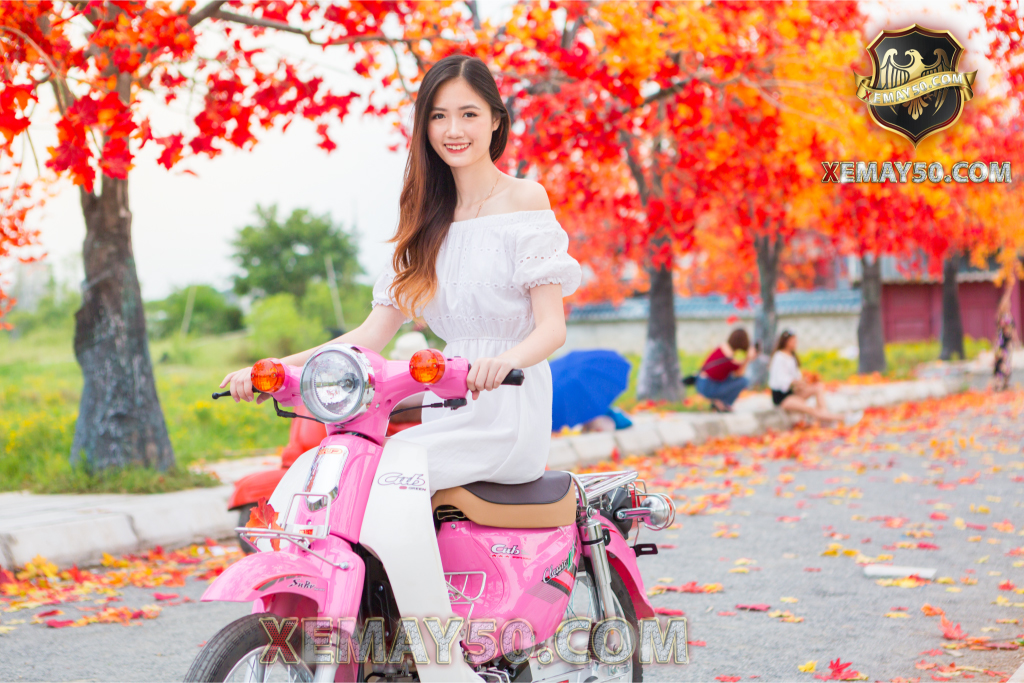 xe máy 50cc cub 81 việt thái phối hợp màu sắc hài hòa