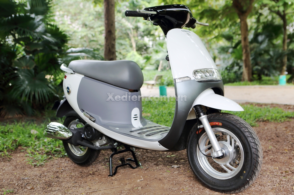xe-ga-50cc-gogolo-dibao