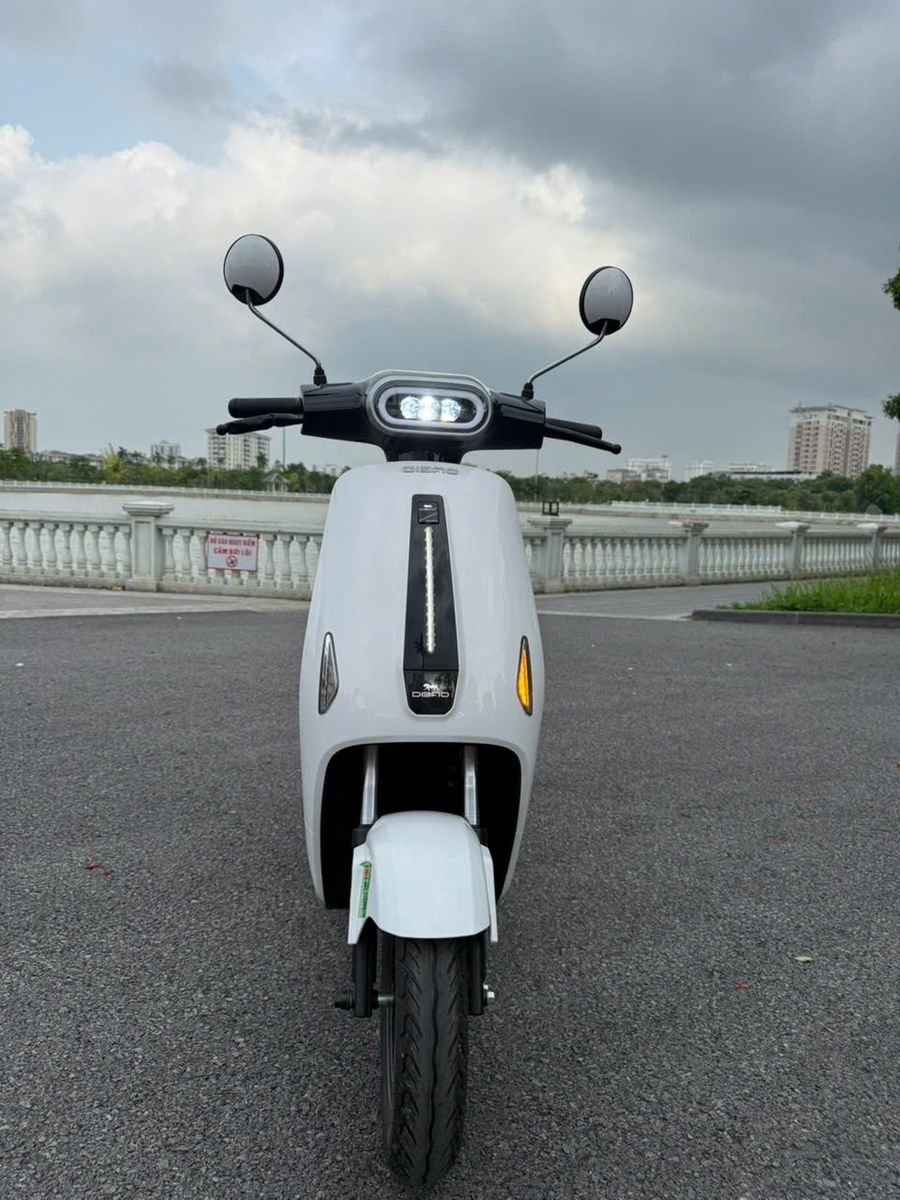 xe đạp điện dibao ryan