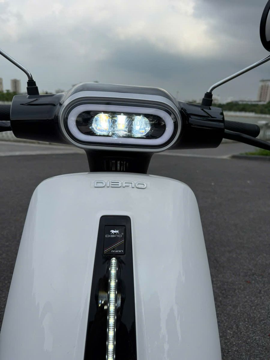xe đạp điện dibao ryan