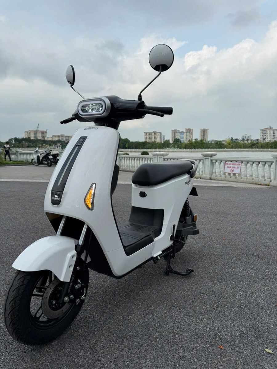 xe đạp điện dibao ryan