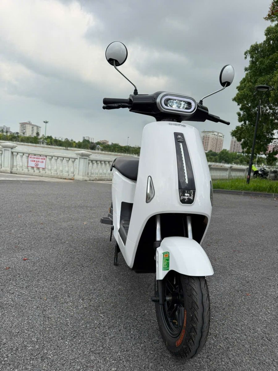 xe đạp điện dibao ryan