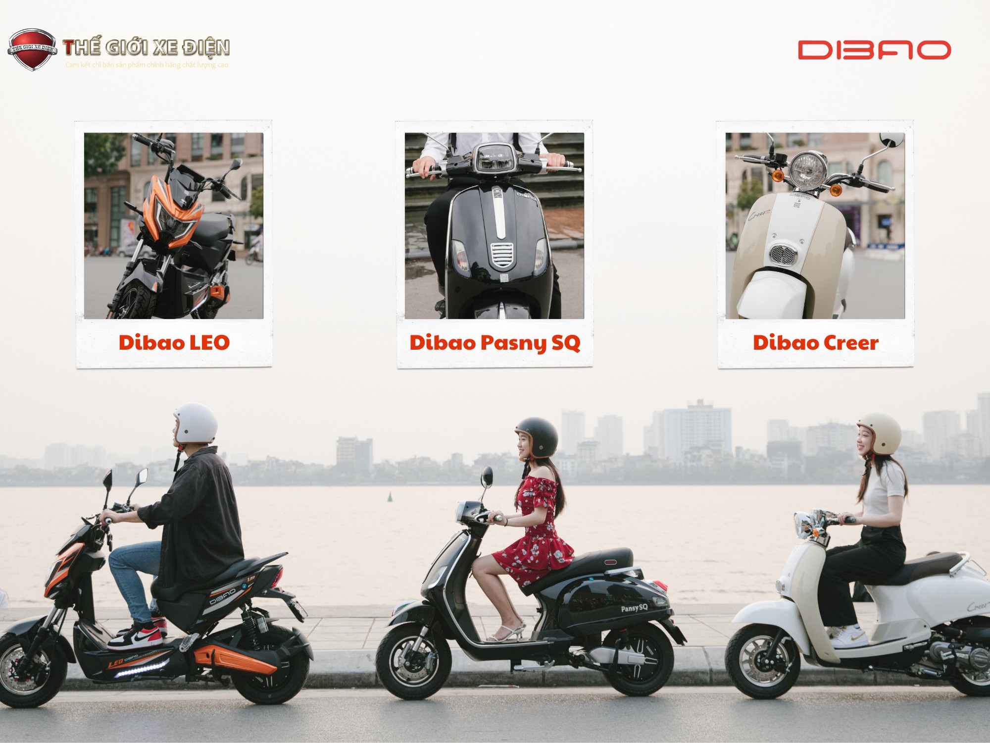 xe của hãng dibao 2021