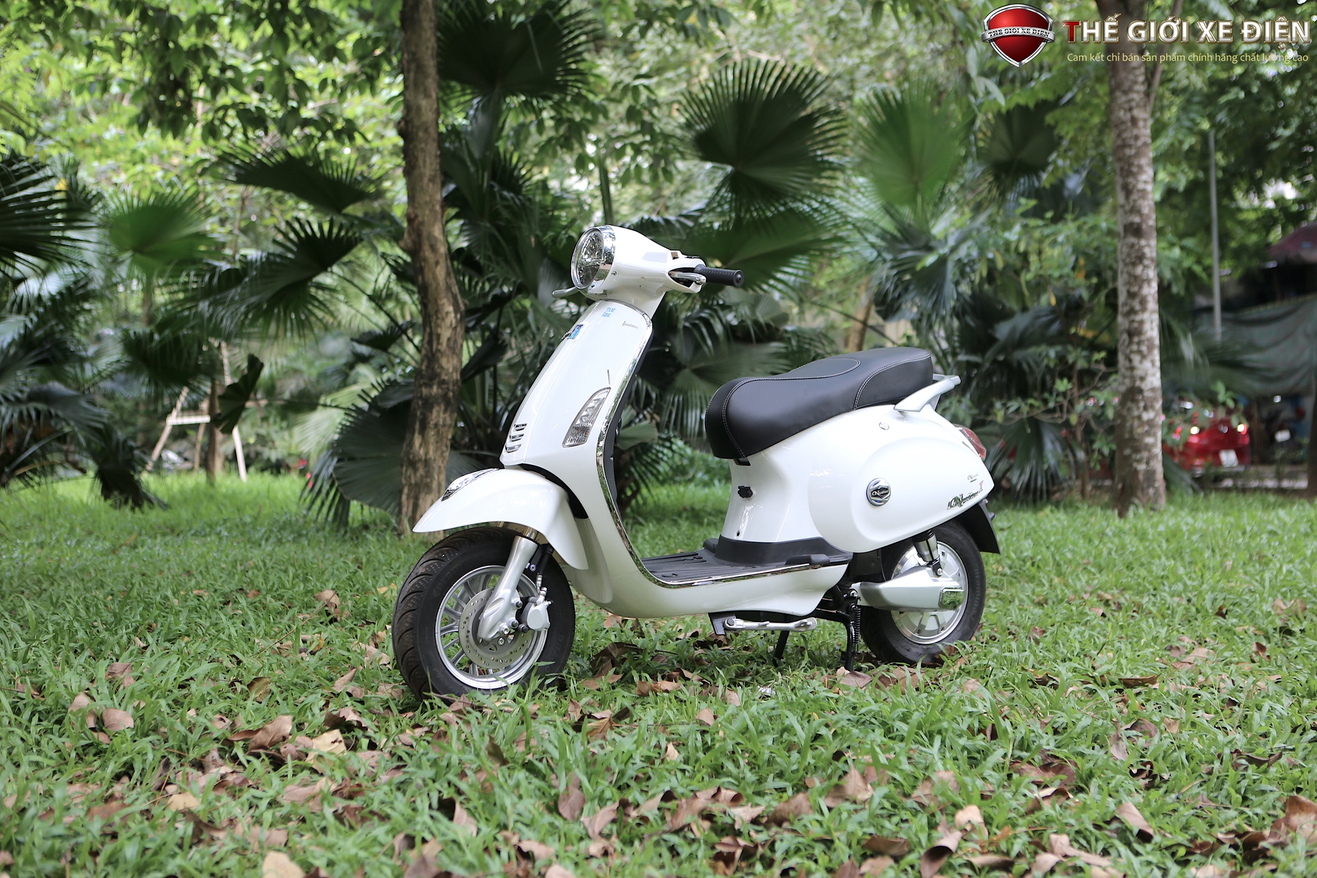 Xe điện Vespa Nioshima Đèn tròn đuôi dài 