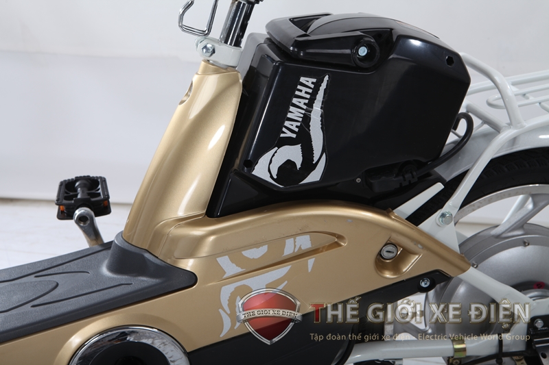 Acquy xe điện Yamaha Icats H3 acquy-xe-dien-yamaha-icats-h3