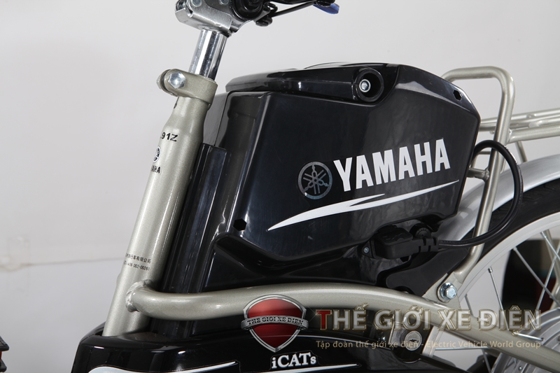 Acquy xe đinệ Yamaha Icats N2 ac-quy-xe-dien-yamaha-icats-n2