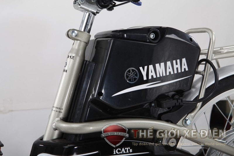 ac-quy-xe-dien-yamaha-icats-n2