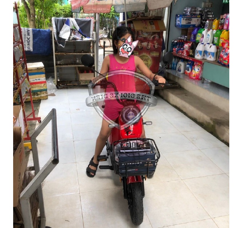 xe đạp điện Gican V3