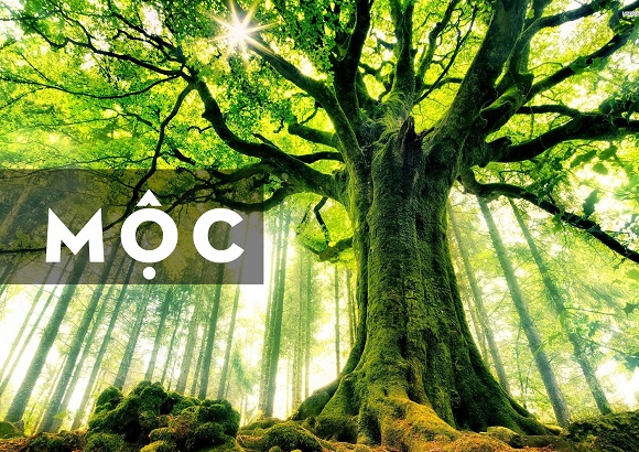 chọn màu xe điện theo mệnh mộc