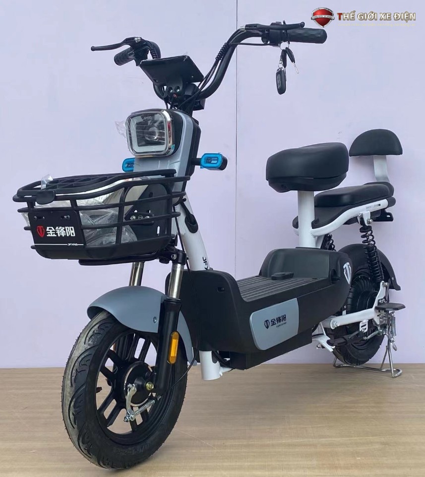 Xe đạp điện Gican V1 Xe đạp điện Gican V1
