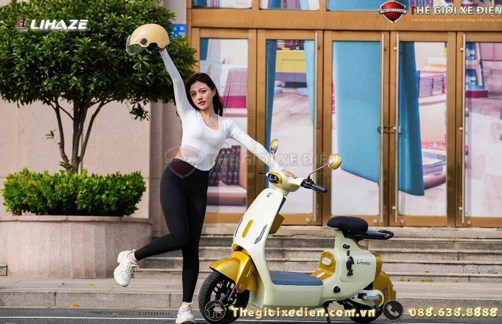xe đạp điện dylexe vc k2 xe đạp điện dylexe vc k2
