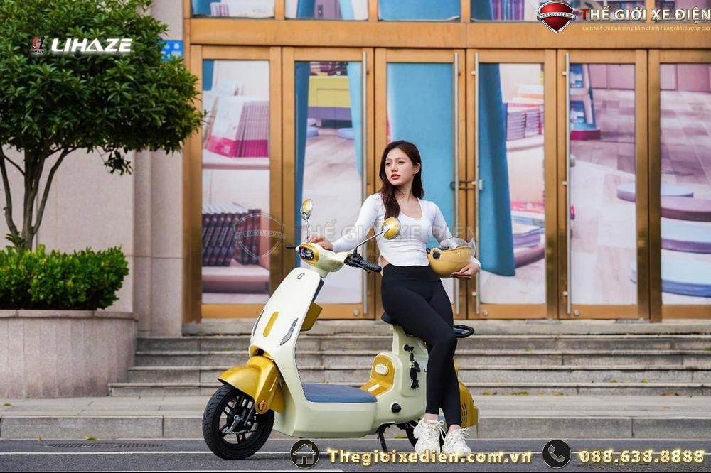 xe đạp điện dylexe vc k2 xe đạp điện dylexe vc k2