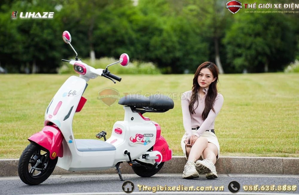 xe đạp điện dylexe vc k2 xe đạp điện dylexe vc k2