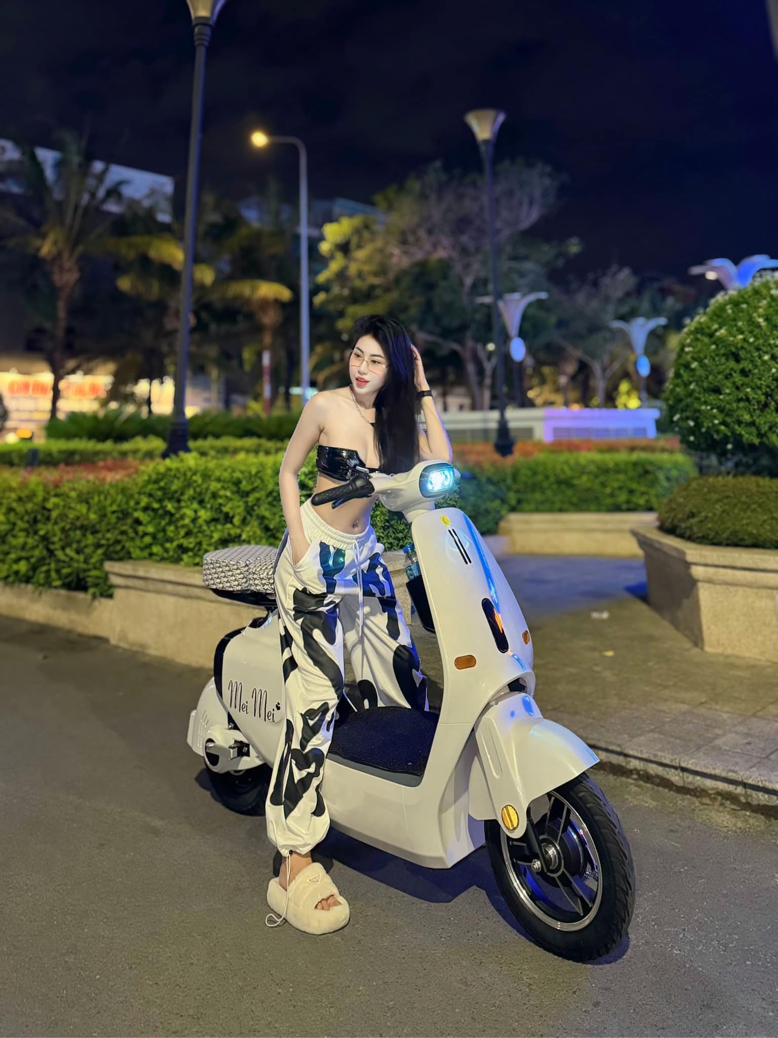 xe đạp điện dylexe vc k1 xe đạp điện dylexe vc k1