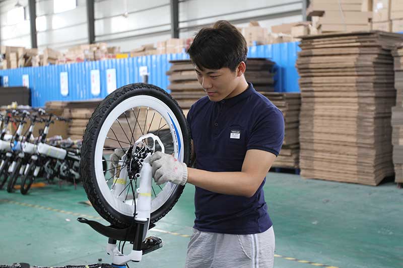 xe đạp điện dylexe vc k1 xe đạp điện dylexe vc k1