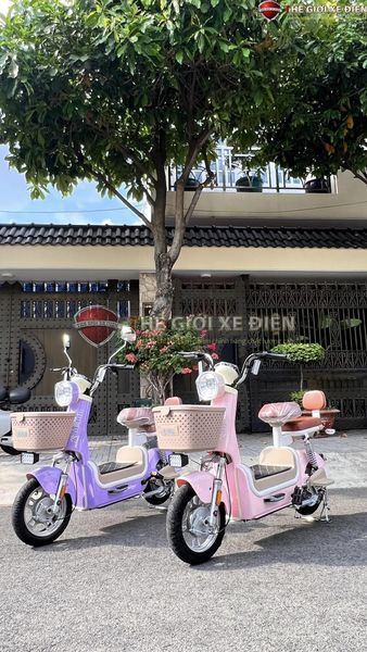 xe đạp điện maoly xe đạp điện maoly
