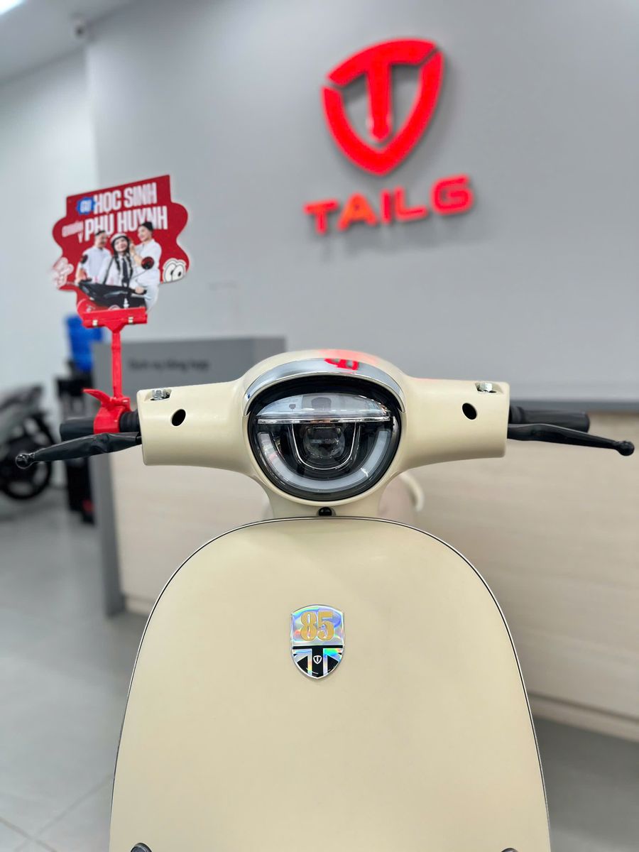 Xe M&aacute;y điện Tailg R60