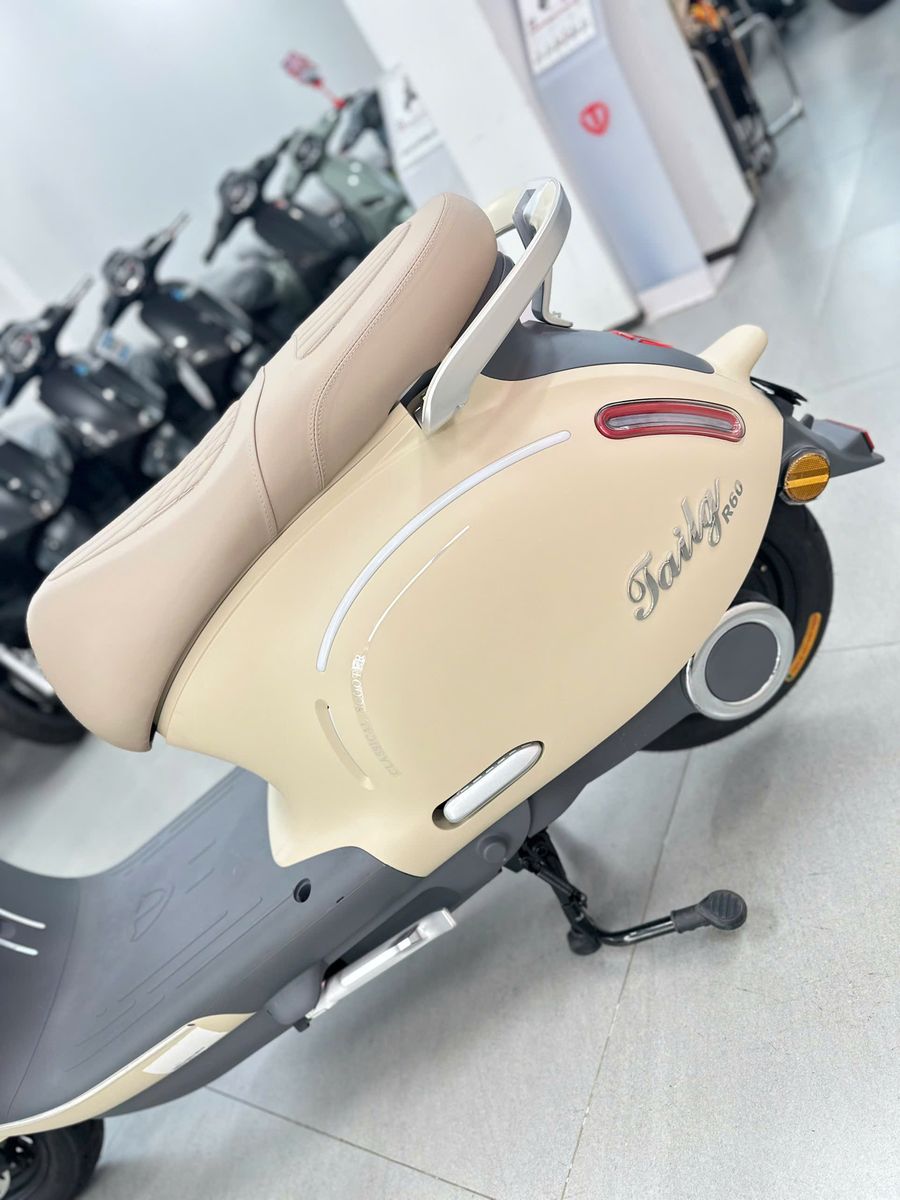 Xe M&aacute;y điện Tailg R60