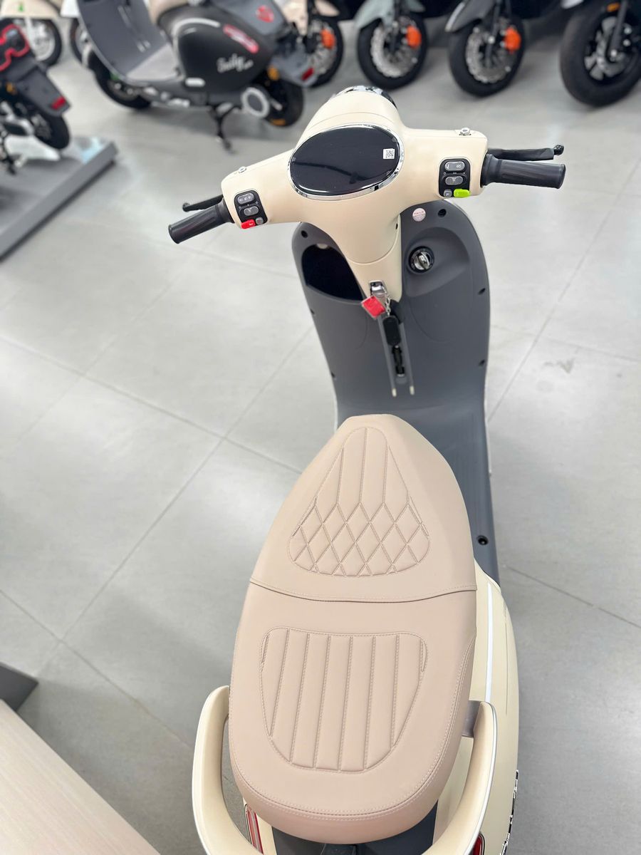 Xe M&aacute;y điện Tailg R60