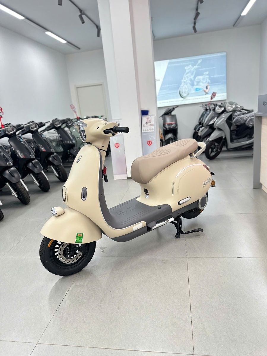 Xe M&aacute;y điện Tailg R60