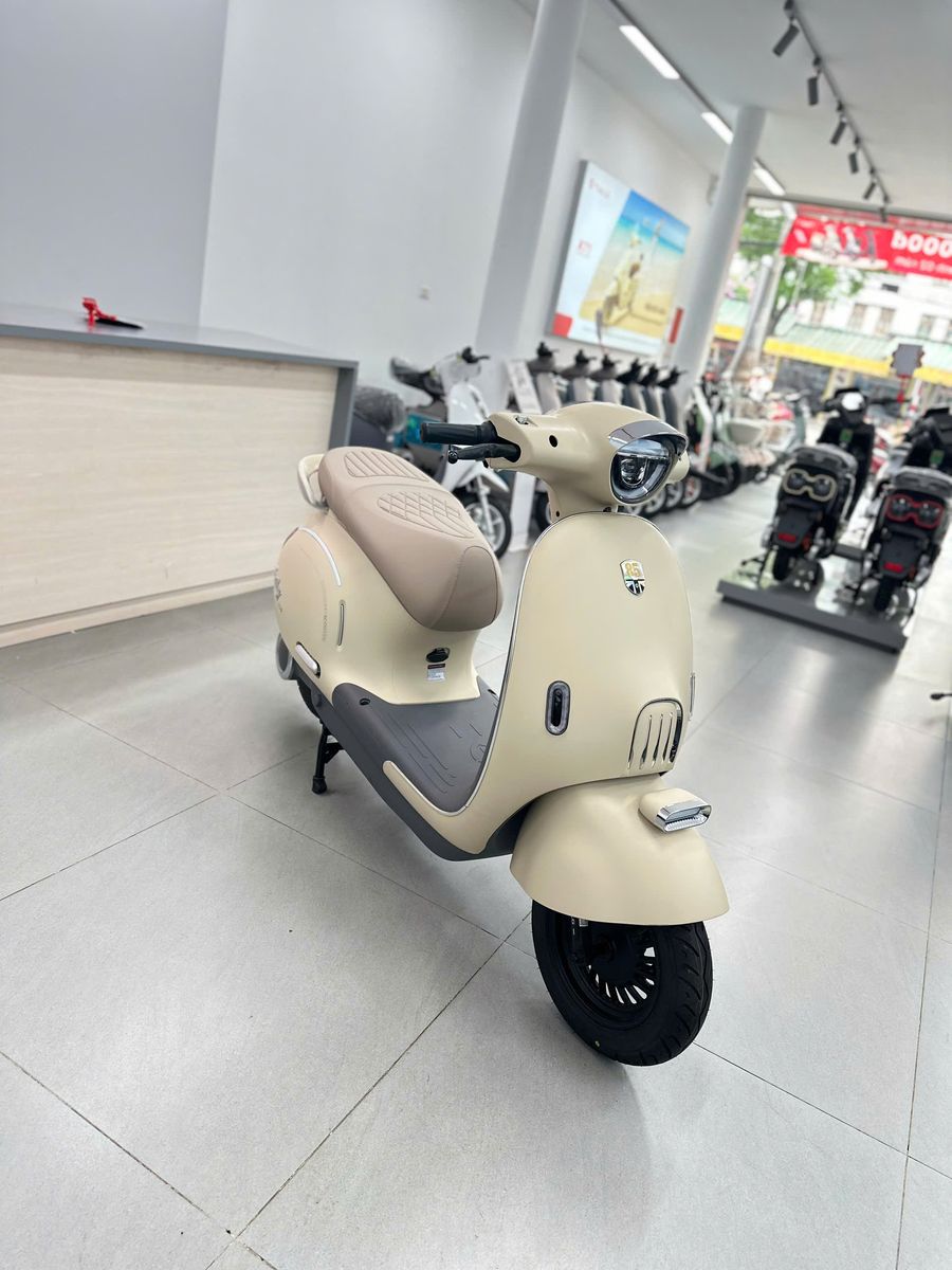 Xe M&aacute;y điện Tailg R60