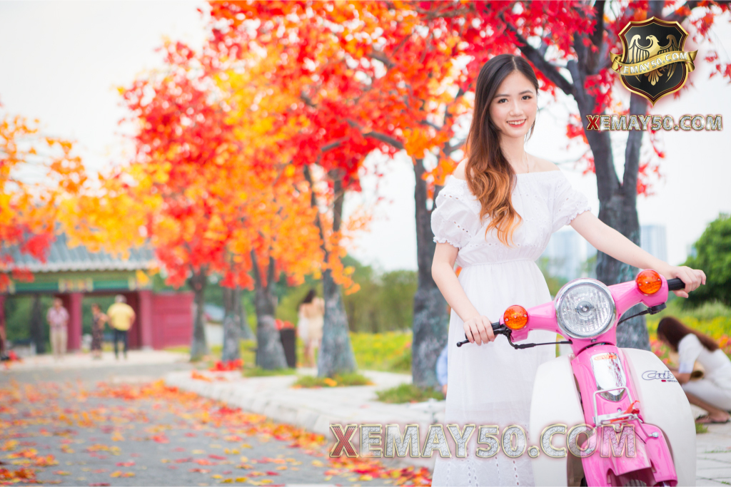 xe-may-cub-50cc