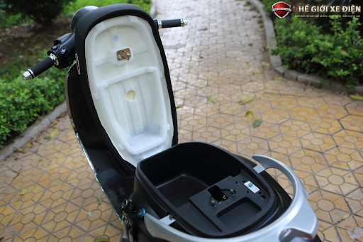 Vespa Dibao Pansy S 2020