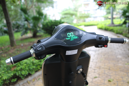 Vespa Dibao Pansy S 2020