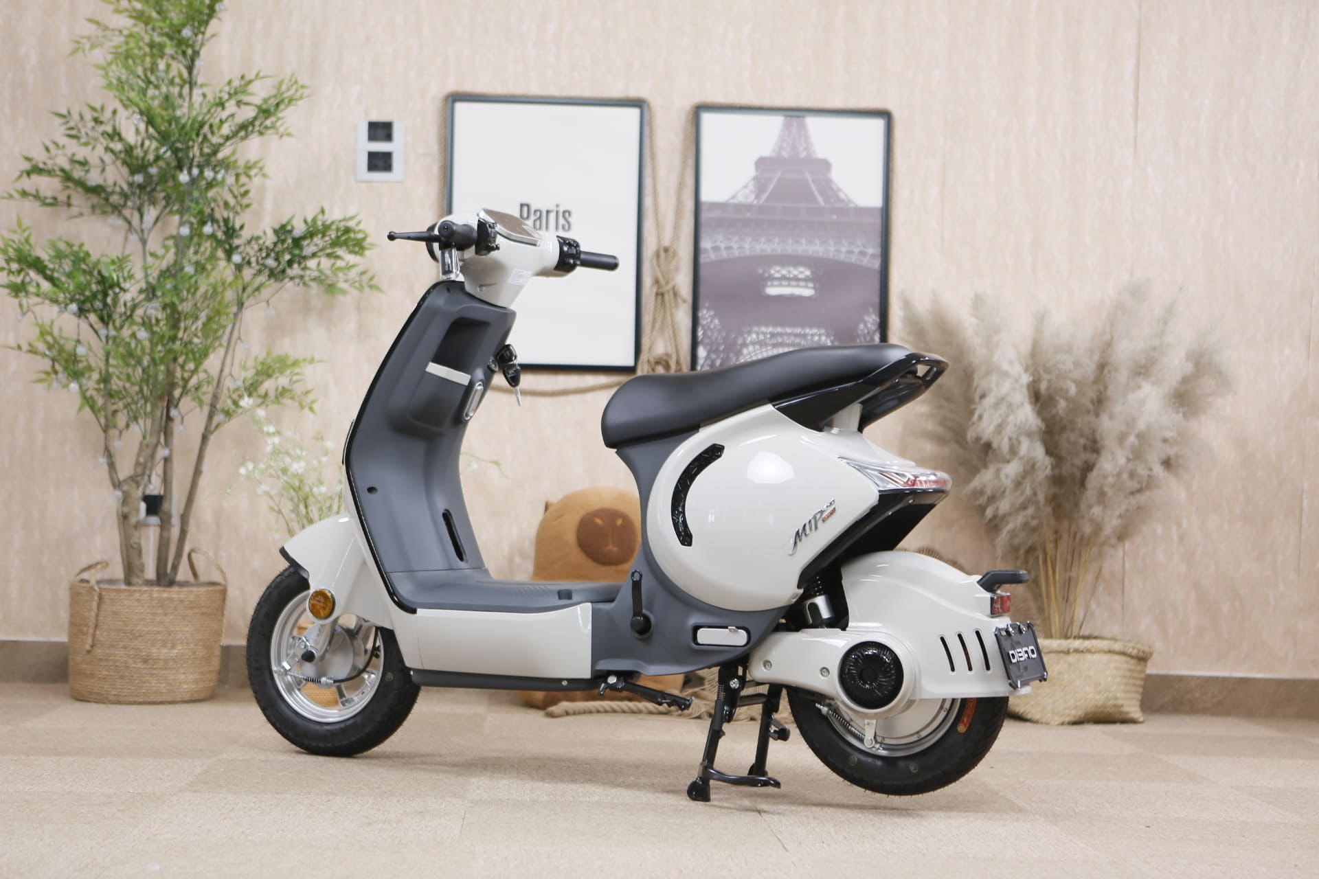 Xe điện học sinh cấp 2 bắt buộc phải có bàn đạp, Dibao M1P còn có bàn đạp trợ lực Xe điện học sinh cấp 2 bắt buộc phải có bàn đạp, Dibao M1P còn có bàn đạp trợ lực