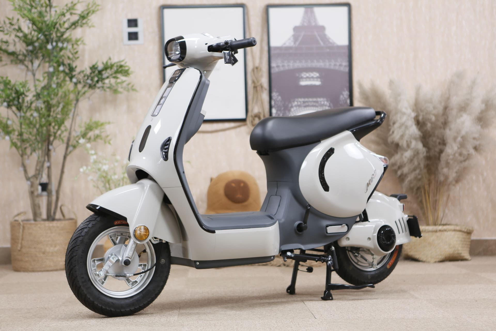 Xe điện học sinh cấp 2 bắt buộc phải có bàn đạp, Dibao M1P còn có bàn đạp trợ lực Xe điện học sinh cấp 2 bắt buộc phải có bàn đạp, Dibao M1P còn có bàn đạp trợ lực