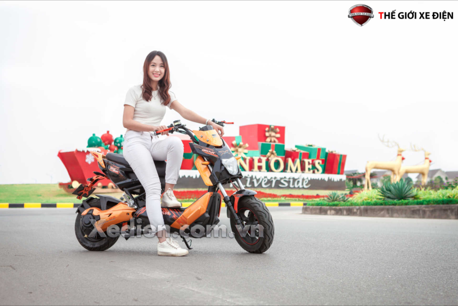 XE ĐIỆN XMEN PLUS DIBAO Phanh Đĩa