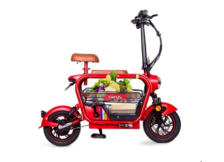 xe đạp điện gấp Lihaze