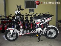 Xe Đạp Điện HT Bike 133 S8