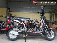 Xe Đạp Điện HT Bike 133 S8