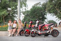 Xe điện Dkbike 133 phanh cơ