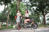 Xe điện Dkbike 133 phanh cơ