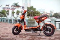 XE ĐIỆN DTPBIKE 133SH