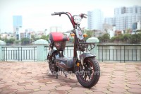 XE ĐIỆN DTPBIKE 133SH