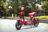 XE ĐIỆN DTPBIKE 133SH