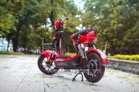 XE ĐIỆN DTPBIKE 133SH