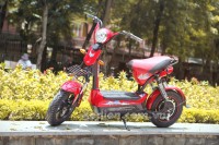 XE ĐIỆN DTPBIKE 133SH