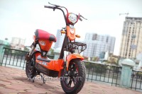 XE ĐIỆN DTPBIKE 133SH