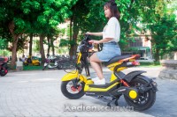 Xe điện Lyva