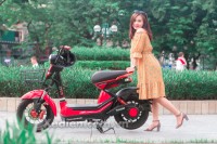 Xe điện Lyva