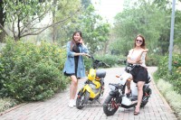 Xe điện Lyva