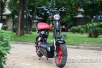 Xe Điện Giant M133S 2015