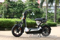 Xe Điện Giant M133S 2015