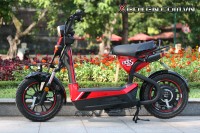 Xe Điện Giant M133S 2015