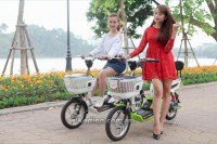 Xe đạp điện Honda A6