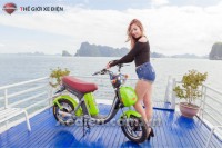 Xe điện Ninja 2016